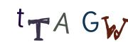 Recopier le code Captcha de l'image