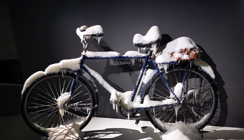 Photo de "Nature morte, vélo" de Laurent Pernot