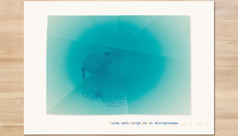 Photo d'un graphique produit par le dispositif "Le poids des mots"